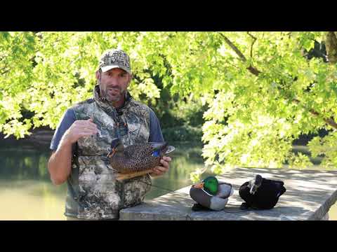 Avian X   Tips   Adding Black Ducks To The Spread   DTC   2021