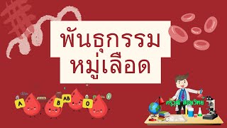 พันธุกรรมของหมู่เลือด