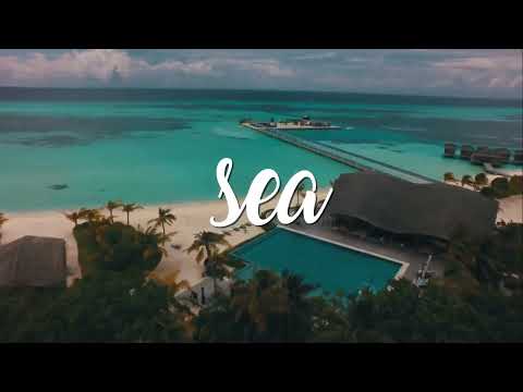 WhatsApp Video 2022 01 16 at 11 31 01 PM