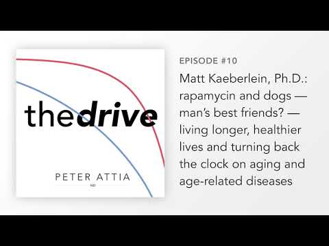 #10 – Matt Kaeberlein, Ph.D.: rapamycin and dogs — living longer, healthier & turning back the clock