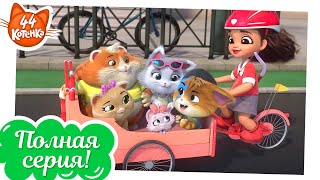 44 Котёнка - Особенная девочка