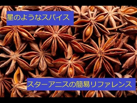 園芸 中国スターアニス、スターアニス、中国スターアニス、Ba Jiao Hui Xian