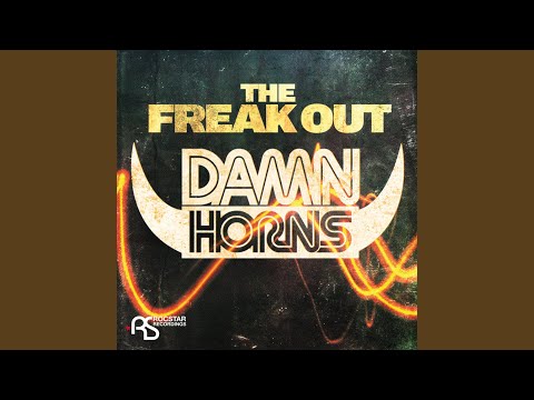 The Freak Out (Freerange DJ's Remix)