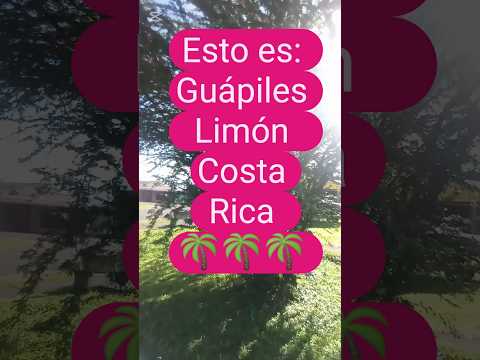 Guápiles Limón: el Caribe cr.