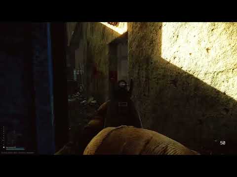 Escape from Tarkov - Desync is fine...