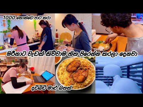 එයාට දෙයක් කිව්වාම ලස්සනට වැඩේ කරනවා 🇯🇵🇱🇰