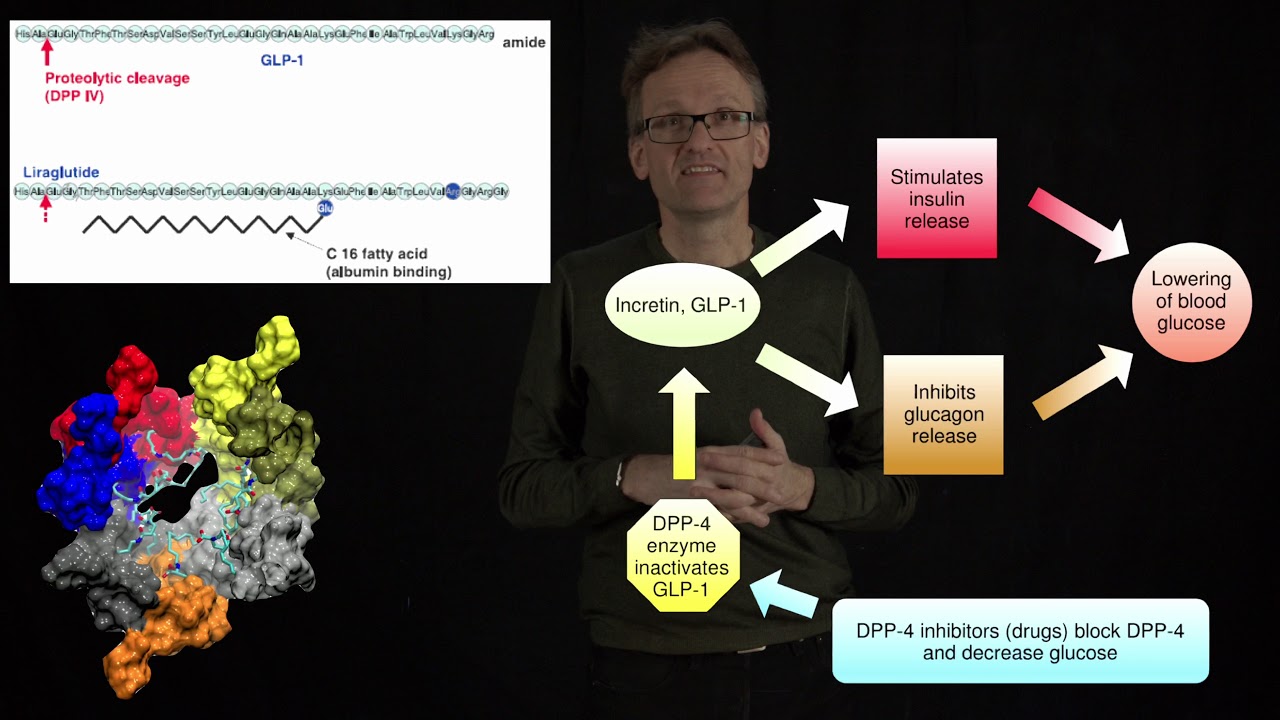 Lecture 13, concept 05: Liraglutide - a biological used to treat type-II diabetes