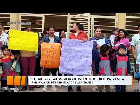 Niños sin clases por presencia de murciélagos en una escuela de Palma Sola