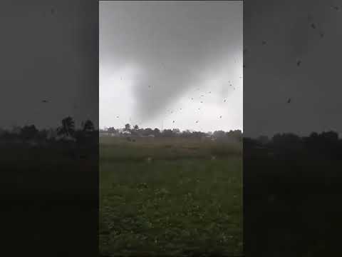 URGENTE: Tornado azota al municipio cubano Los Arabos, en Matanzas