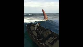 GTA 5’s Shark Secret You Probably Missed