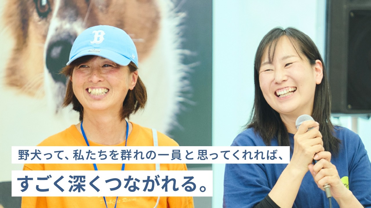  野犬から家族へ-茨城発・野犬ゼロへの挑戦と雑種犬の魅力-【パナソニック公式】