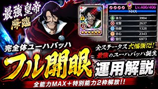 【ブレソル】ユーハバッハ（2026ver）をフル開眼にしたらガチでバケモノが完成した w w w