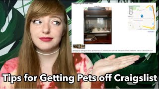 Tips for Getting Pets off Craigslist