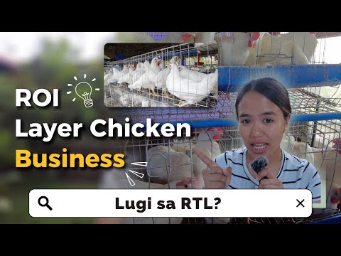 ROI ng Layer Chicken Farming 🐔 2023 Price Update 🥚 Lugi sa 200 Heads RTL?! 🥲