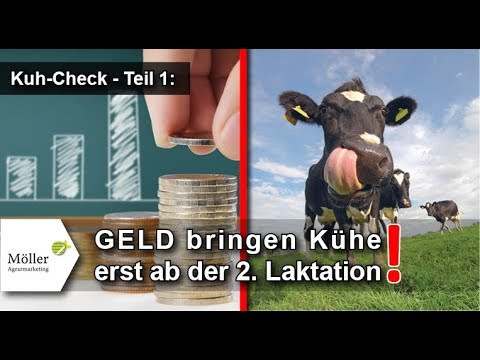 Kühe melken - füttern: Deckungsbeitrag der Kuh bis zur 10. Laktation - Milchkühe richtig füttern