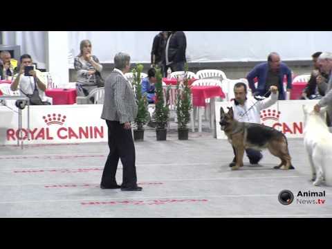 Bastia Umbra 2015 - Gruppo 1