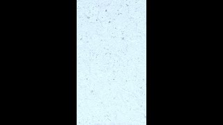 Why Pain Motivates You More Than Pleasure Ever Will #shorts