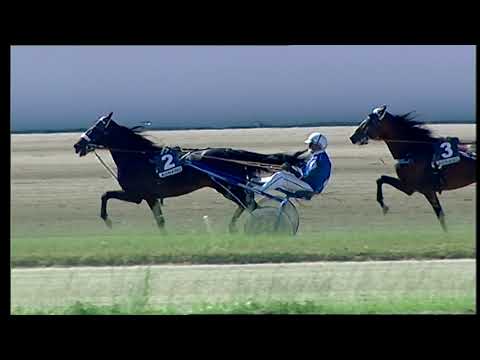 Napoli Trotto 21/05/2021 - 5ª corsa