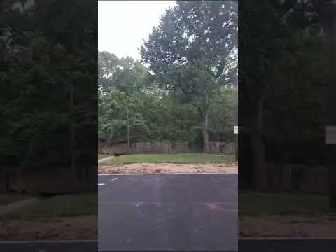 4608 Springview Road4600, 4604, 4604, 4608 Springview Road #4608-4 - Video 7 of 8