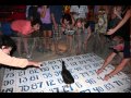 Mojo Nixon & Skid Roper - Chicken Drop