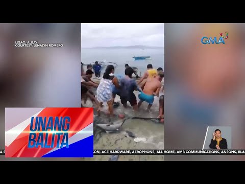 Tone-toneladang isdang bangkulis, nahuli sa Brgy. Catburawan UB