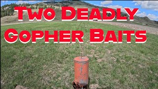 Two DEADLY Gopher Baits Compared!  What YOU Need To Know!