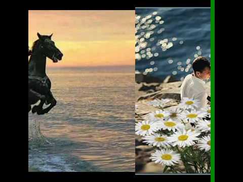 Çünkü seni seviyorum