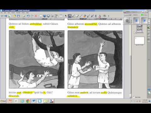 Video Sample