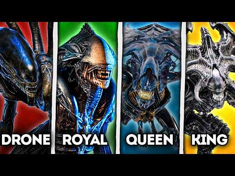All 16 Stages of the Xenomorph’s Evolution - Alien Lore Explained