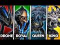 All 16 Stages of the Xenomorph’s Evolution - Alien Lore Explained