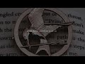 if we burn, you burn with us | the hunger games playlist