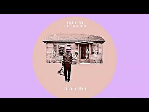 Digital Farm Animals, Danny Ocean - Lookin' For (The Wild Remix [Official Audio])