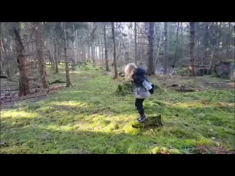 TOR H - Parkour @ Sörbybäcken (RONNEBY)