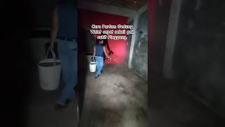 Download lagu How to Perfume a Swiftlet House mp3