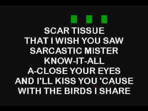 BEst Karaoke Red Hot Chili Peppers   Scar Tissue