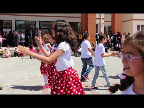 23 Nisan 2018 Erik Dalı 4A - Ayten Öğretmen