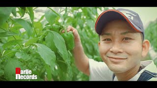 【MV】ぐしちゃんピーマン1番 - tajee  |  Darlle Records