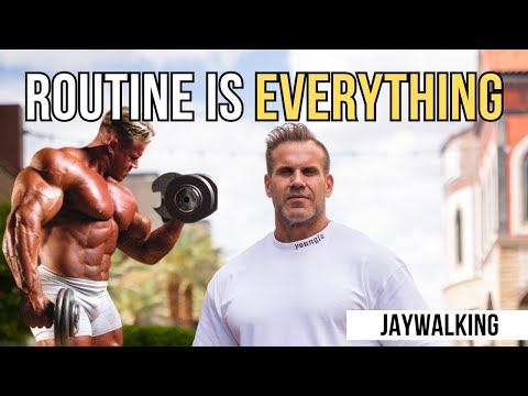 ROUTINE IS EVERYTHING | JAYWALKING