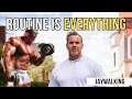 ROUTINE IS EVERYTHING JAYWALKING