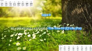 All My Trials (capo 3) by Peter, Paul, and Mary play along with scrolling guitar chords and lyrics