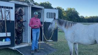 How I Load MY HORSES IN THE TRAILER