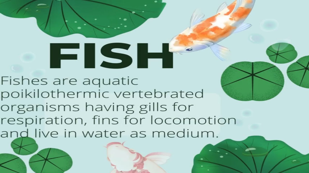 Define fish and fisheries||fisheries science and technology||aquaculture||concepts of pisciculture||