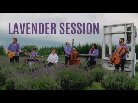 kilka czułości feat. Maria Bręczewska - Lawenda [LAVENDER SESSION]