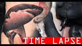 The great shark - Tattoo time lapse