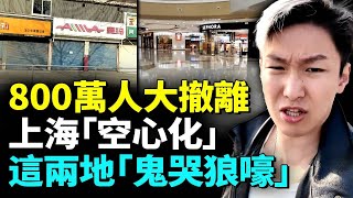 [問卦] 要用什麼地圖才看的到上海實景