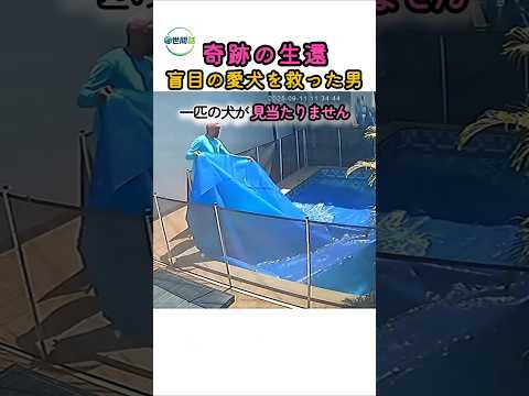 プール清掃員が起こした奇跡