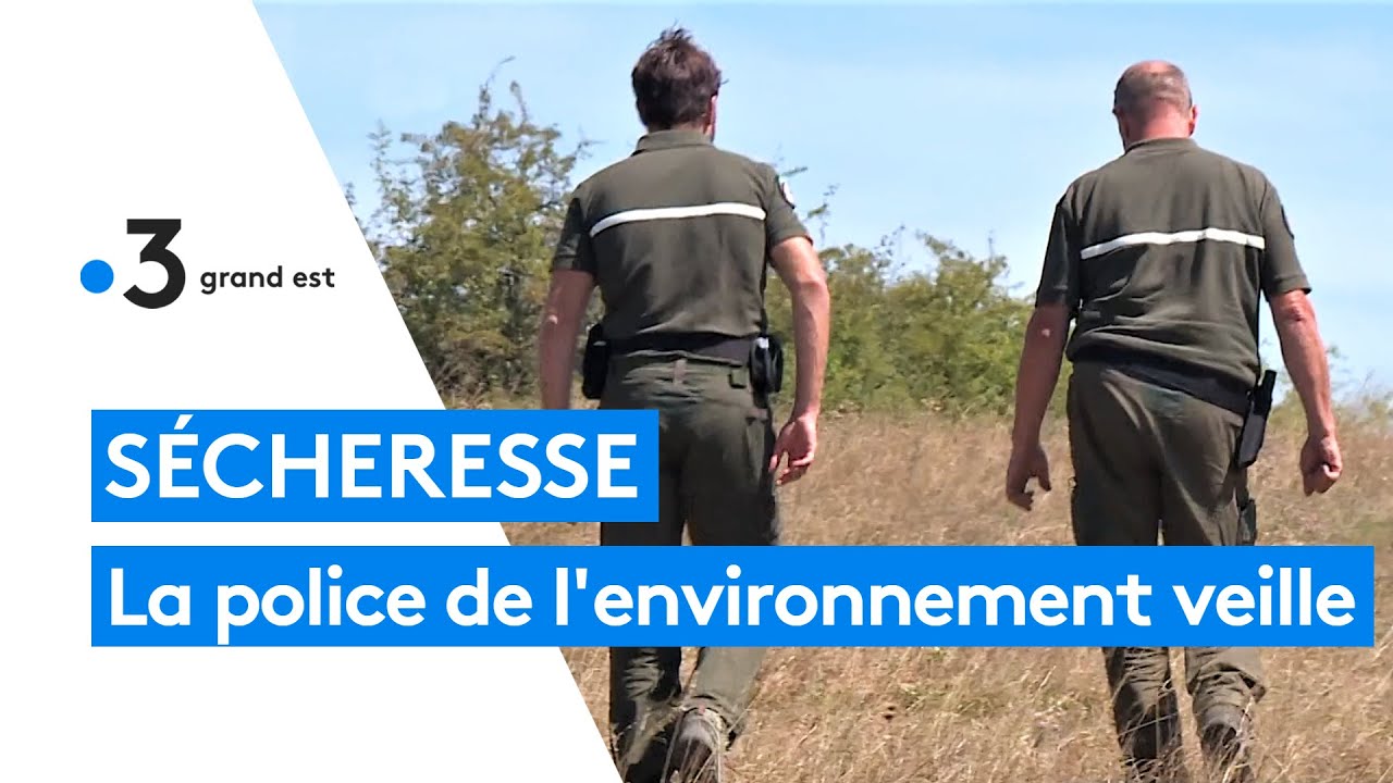 Alsace : les brigades vertes veillent au respect des arrêtés anti-sécheresse