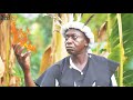 Ezekaudene The Fire ORACLE UGEZU J UGEZU African Nigerian Movies