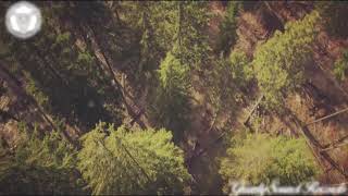 Dropout - Handcrafted