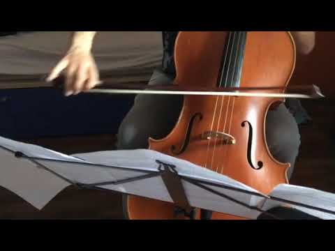 Mauro Cottone jazz cello